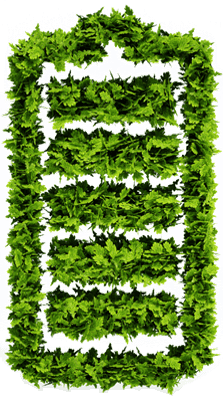 バッテリーConnect